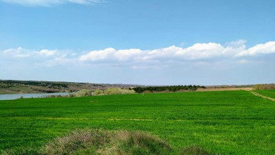 Çanta Satılık Arsa Alım-Satım Danışmanlığımız ile Kazanın!